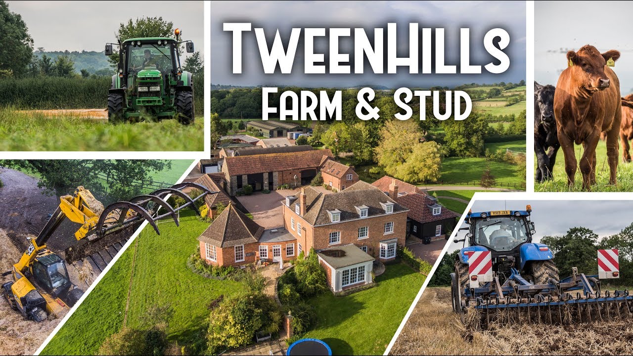 Tweenhills Farm & Stud Summer Jobs 2017 YouTube