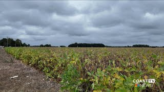 Sussex Pz Recommends Approval For Atlantic Fields Zoning Change