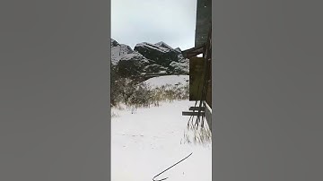 Poor guy had his last gas analyzer 😂