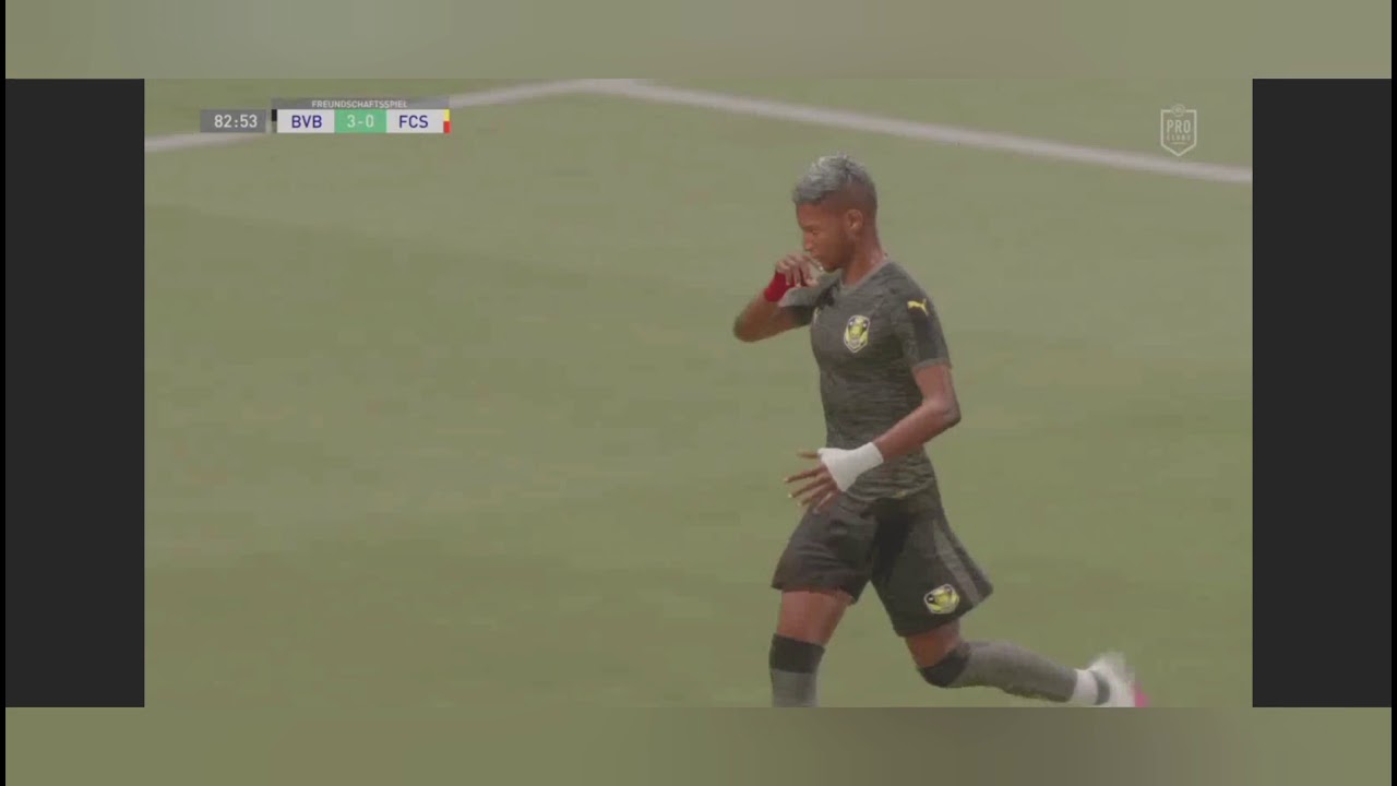 BVB Bonn Lions Highlights