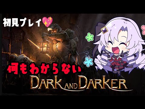 【Dark and Darker】何もわからないお嬢様（一般人）がダンジョンに潜入‼【DADですわ～】