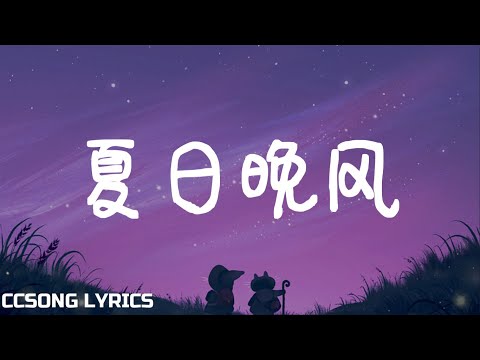 夏日晚风 - xxxmiracle & Aioz「放纵 每个夏天 与你 惬意的互动」【动态歌词/Lyrics Video】