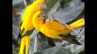 Bila wajahmu kubayangkan