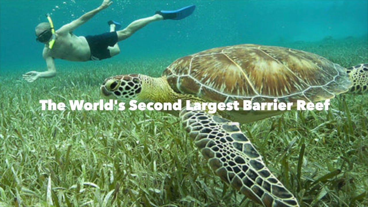 Aqua Vista Belize Promo