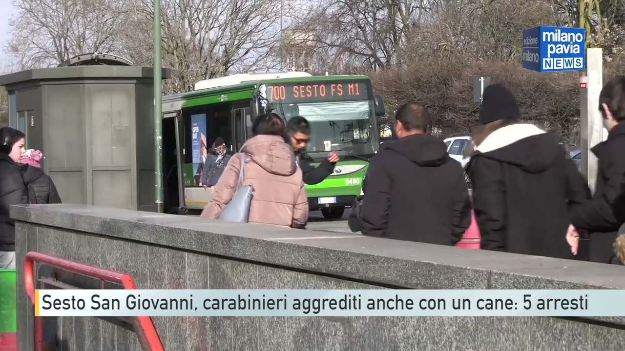 Sesto San Giovanni, carabinieri aggrediti con un cane: 5 arresti