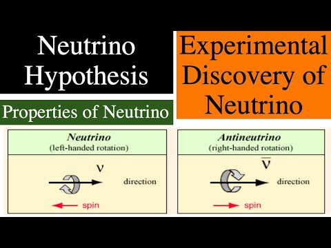 neutrino hypothesis notes