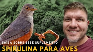 Spirulina um ótimo suplemento para suas aves se não errar na dose e procedência