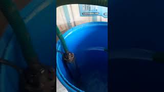 Sub-Motor Testing