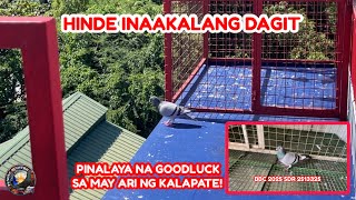 EP1108 BIGLANG GANDA ANG HINDE INAASAHANG DAGIT AT PINALAYA NA!