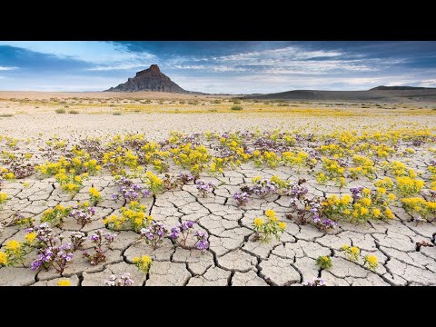 475.♫. Elias Rahbani — "Ciel de mon pays", фото Казахстан