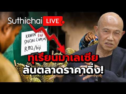 ทุเรียนมาเลเซียล้นตลาดราคาดิ่ง! Suthichai live 6-7-69