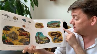 Let's read: Tiddler the story telling fish | Fun story for