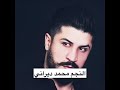 الرقم الصعب محمد الديراني يقيم حفل زفاف شقيقة 