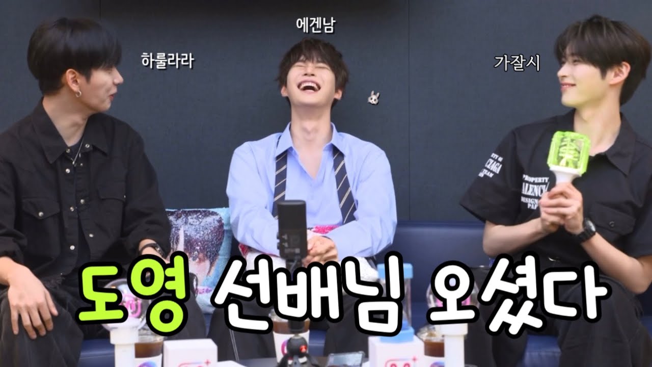 도영선배와 멍캣은 서로 사랑하는 사이💚[대친소 라이브 요약 EP.893]