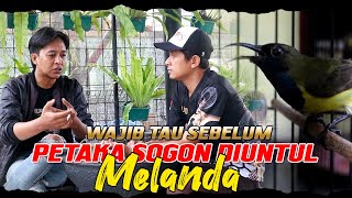 WAJIB TAU HAL INI SEBELUM NGASIH UNTULAN KE SOGON LOMBA