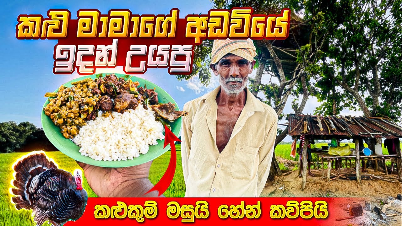 කළු මාමාගේ අඩවියේ ඉදන් උයපු කළුකුම් මසුයි හේන් කව්පියි Black Pomfret Curry 