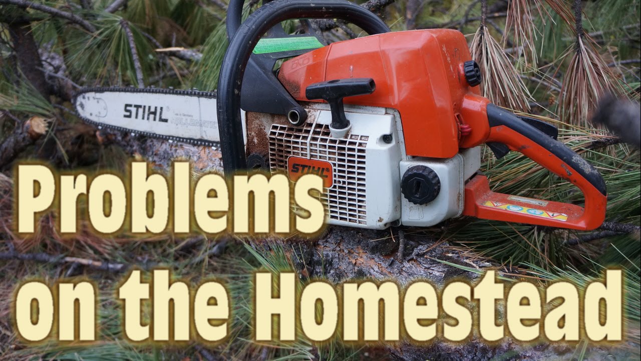 Problems on the Homestead - YouTube