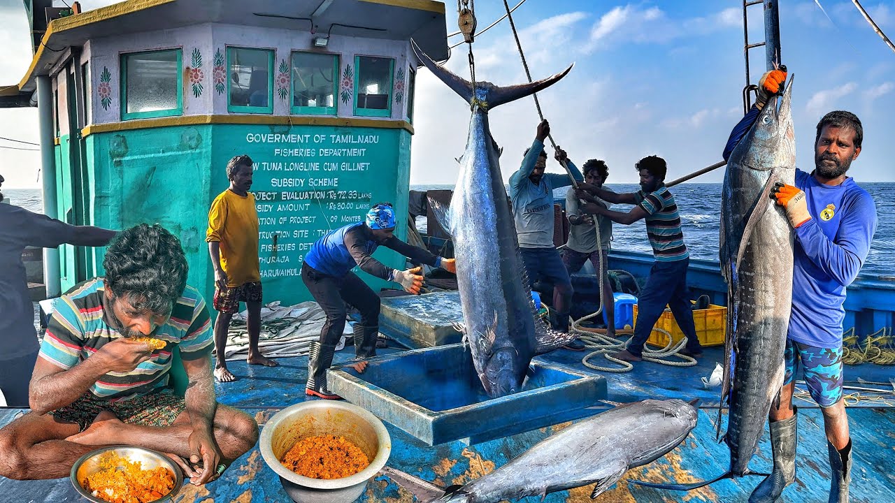 UNBELIEVABLE! Day 3 Big Catch Explosion | Fisherman Life at Sea & Fresh Fish Cooking! | Day-03