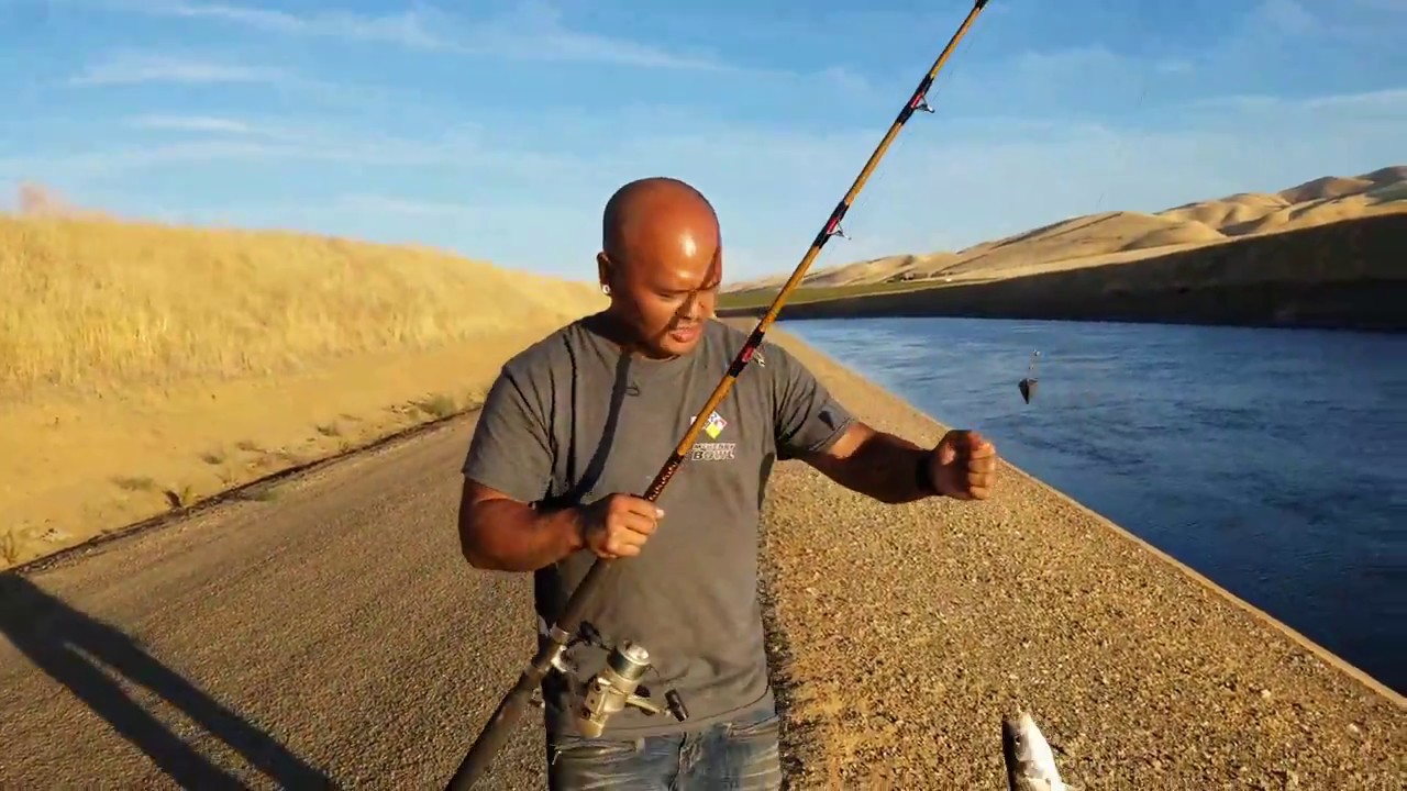 Bait fishing at California Aqueduct 🎣🐟 YouTube