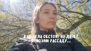 VLOG: ЧТО НА ДАЧЕ? ОТВОЗИМ РАССАДУ... | 7.05.22