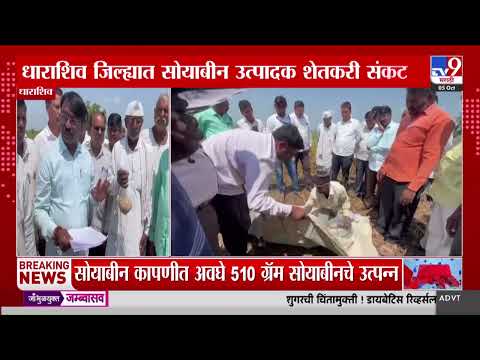 Dharashiv | सोयाबीन कापणी प्रयोगात अवघे 514 ग्रॅम सोयाबीनचे उत्पन्न