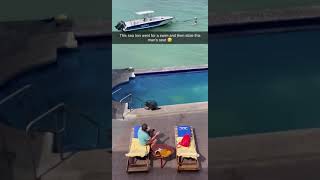 Sea Lion Steals Pool Chair