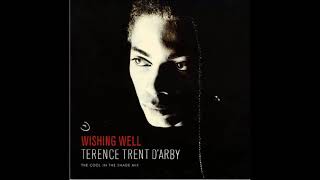 Terence Trent D'Arby – Wishing Well ( The Cool In The Shade Mix