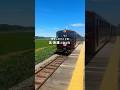【車なしで行く】夏の北海道ひとり旅 #富良野ラベンダー #ファーム富田 #美瑛