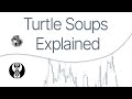 Turtle Soups - ICT