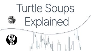 Turtle Soups - ICT