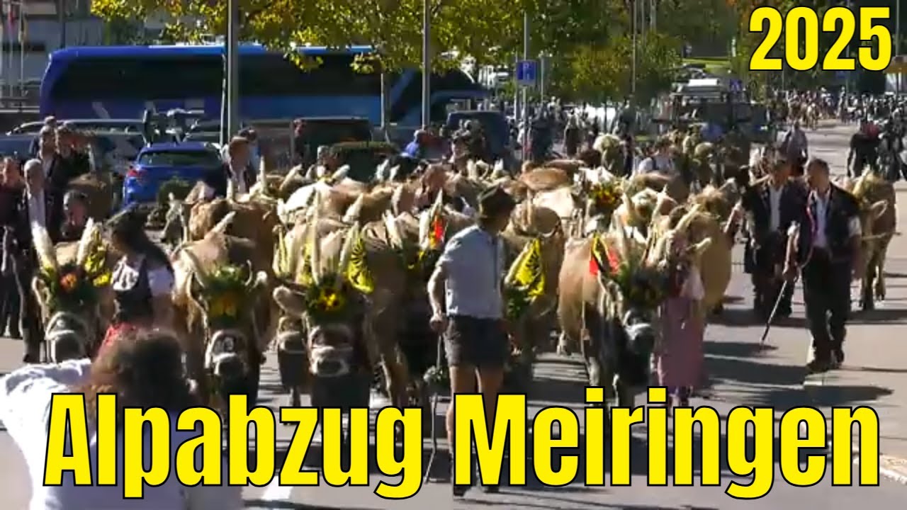 Alpabzug Meiringen 2025