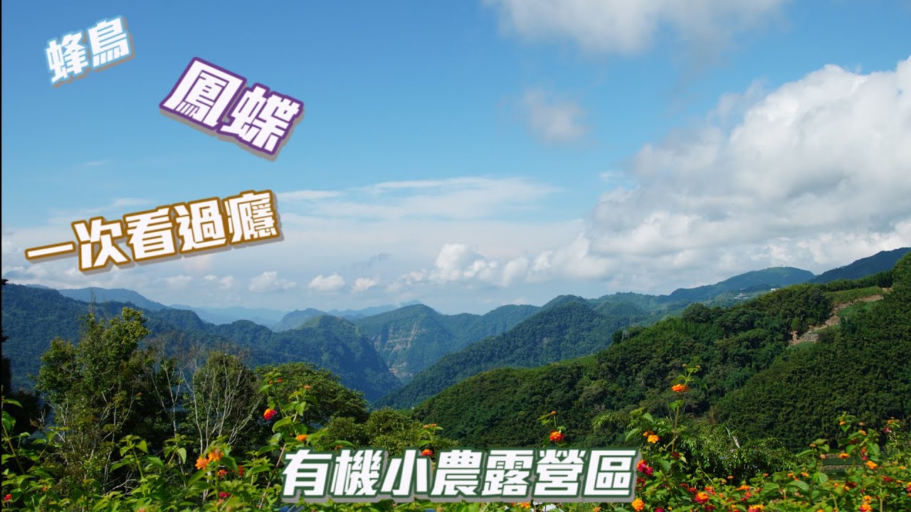 2020 7 31 8 2 有機小農露營區 Youtube