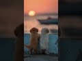little puppy #puppy #foryou #trending #viral #dog #pets #puppylove #mostviewed #mostpopular #views
