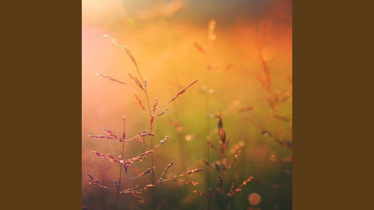 Summer Rain Shower Spa