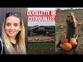 Explore rivenord  la cueillette de citrouille  lautomne