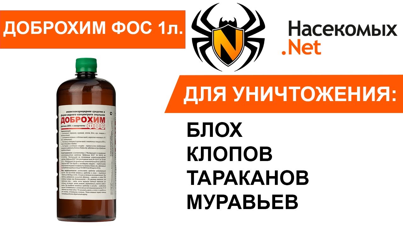 Уничтожение блох, клопов, тараканов средством Доброхим ФОС - YouTube