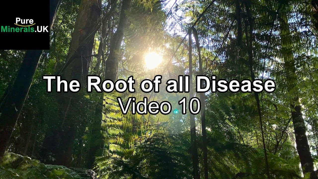 The Root of all Disease Video 10 - YouTube