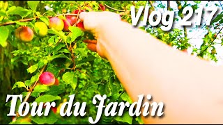 Tour du Potager, Verger et Serres | Juin 2022 -Vlog 217-