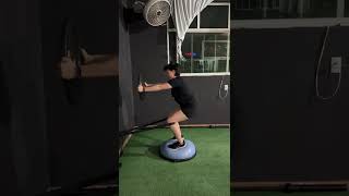 Bosu-band-plate isometric squat