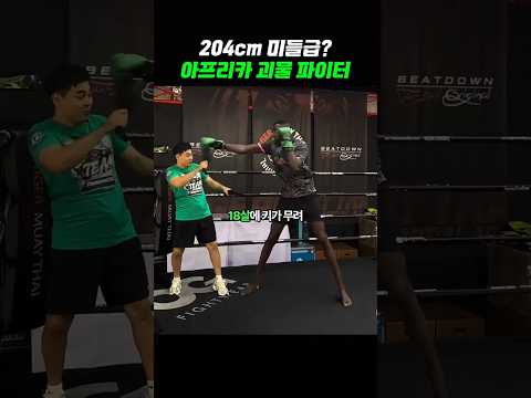 204cm 아프리카 괴물 파이터ㄷㄷ thumbnail