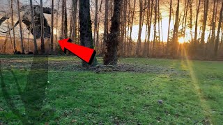 Dragon Sighting In Real Life