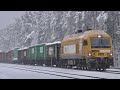 Тепловоз ER20CF-029 с грузовым поездом / Diesel locomotive ER20CF-029 with a freight train