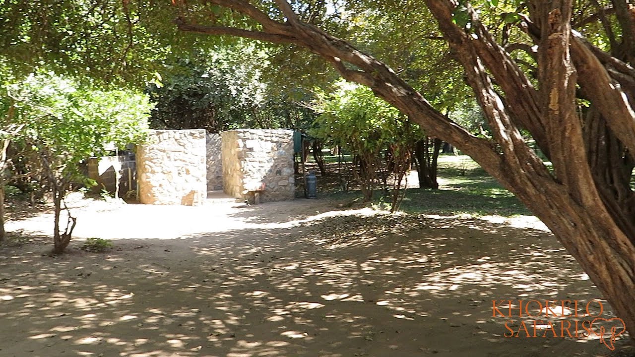 Mvuu camp & lodge preview