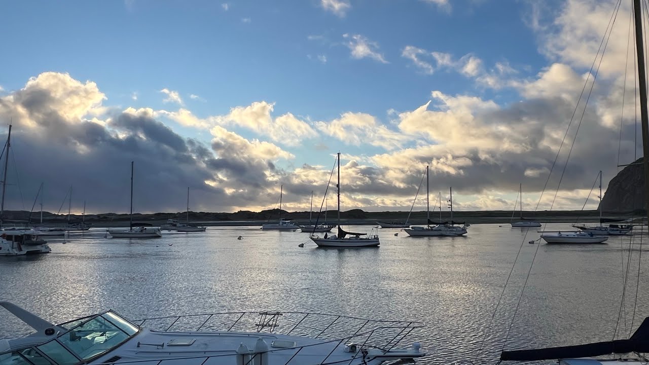 tide goes out, all the birds float by