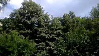 Nokia E72 - video camera sample