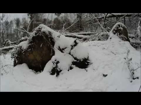 HliD - Прогулка