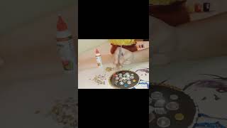 Cd Diy Homemade Hanging Wall