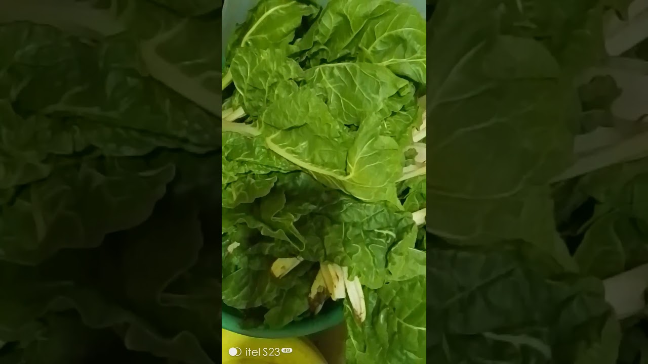 Fresh spinach, MercyNguku The World Trailler 🇾🇪🌎