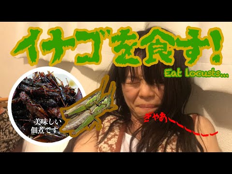 イナゴを食す！が絶叫、そして出産。