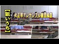 【狙いうち】大正琴アンサンブル練習風景